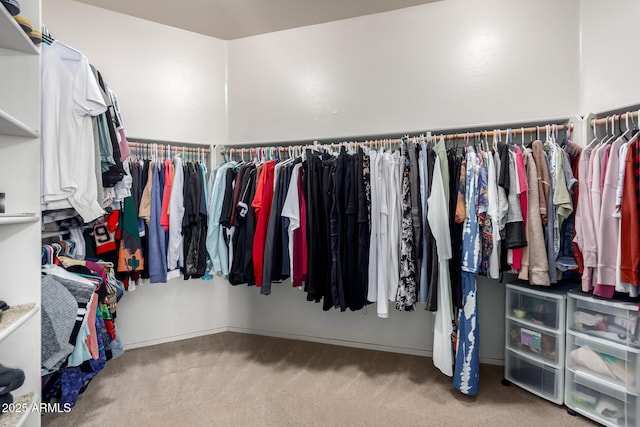 walk in closet featuring carpet flooring