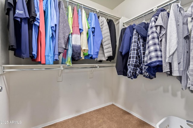 9009 S 57th Dr, Laveen, AZ 85339 - walk in closet featuring carpet