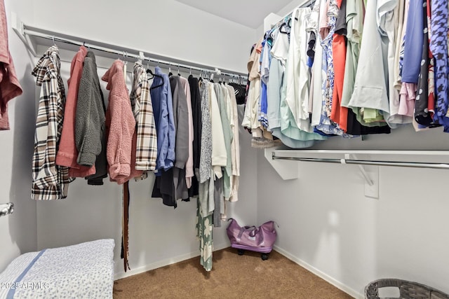 9009 S 57th Dr, Laveen, AZ 85339 - spacious closet featuring carpet