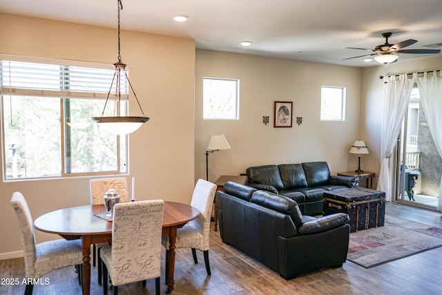 dining space featuring plenty of natural light and wood finished floors