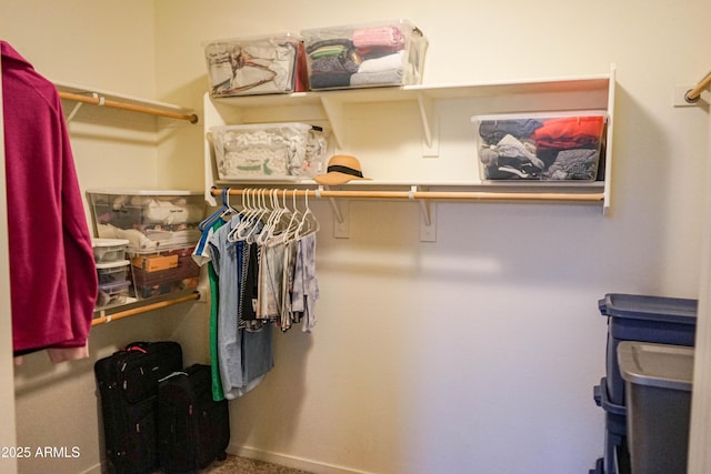 view of spacious closet