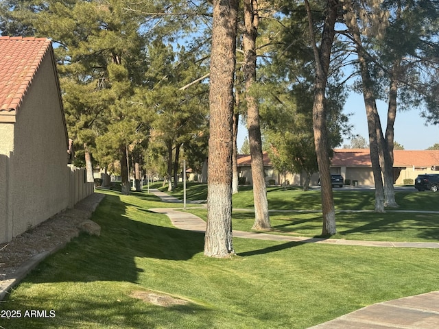 view of community with a yard