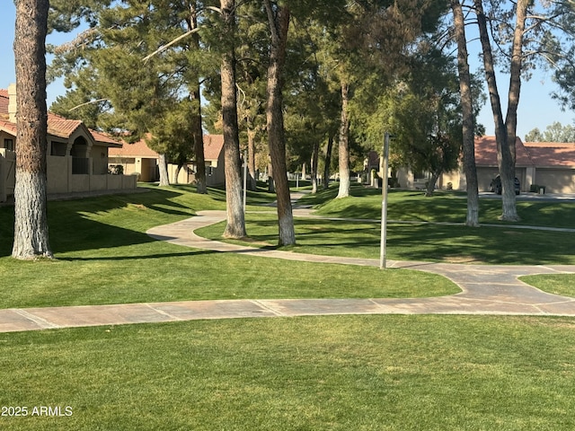 view of community with a lawn