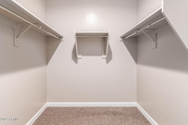 walk in closet featuring carpet