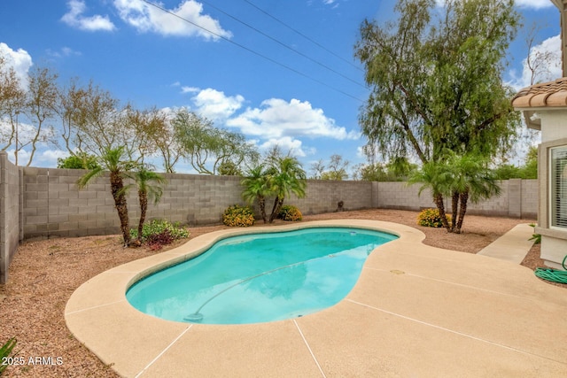 view of swimming pool featuring a patio area and a fenced backyard