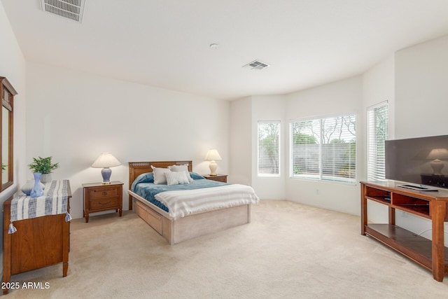 bedroom with light colored carpet