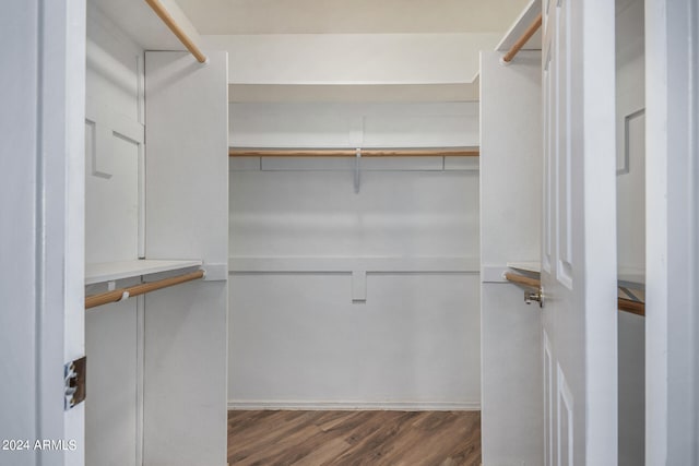 spacious closet featuring dark hardwood / wood-style flooring