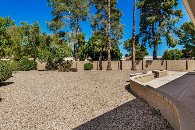 view of yard featuring a patio area