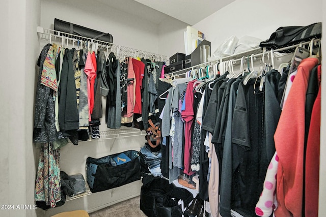 walk in closet featuring carpet floors