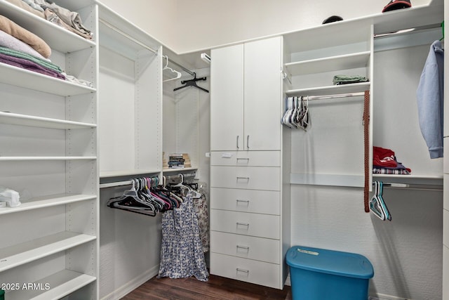29159 N 128th Ln, Peoria, AZ 85383 - walk in closet with dark wood-style flooring