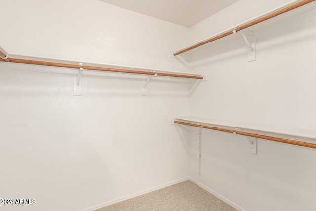 spacious closet featuring carpet flooring