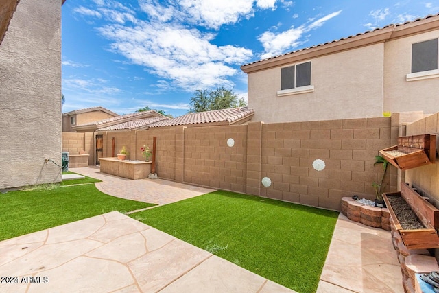 view of yard with a patio