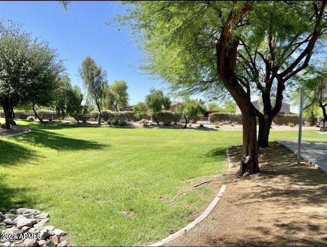 view of community with a lawn