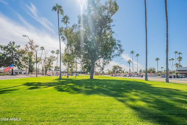 view of home's community with a lawn