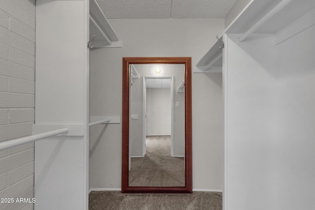 walk in closet featuring carpet flooring