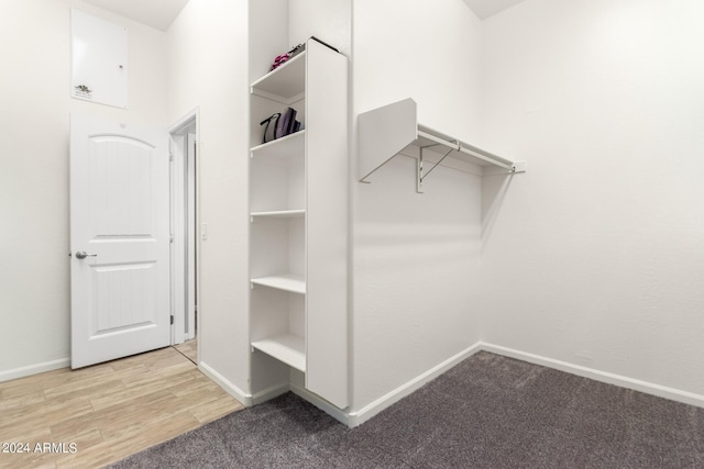 spacious closet featuring carpet flooring