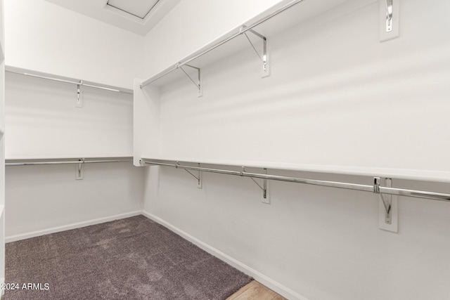 spacious closet featuring carpet