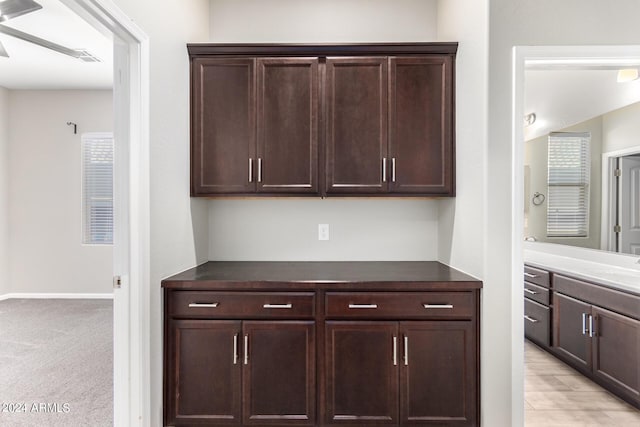 interior space featuring dark brown cabinets and light carpet