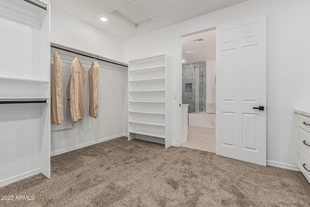 20412 W Thayer St, Buckeye, AZ 85396 - walk in closet featuring carpet flooring and attic access