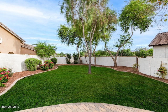 20412 W Thayer St, Buckeye, AZ 85396 - view of yard