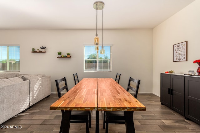 dining area with dark hardwood / wood-style floors and a wealth of natural light