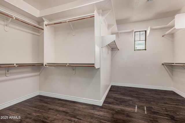 walk in closet featuring wood finished floors