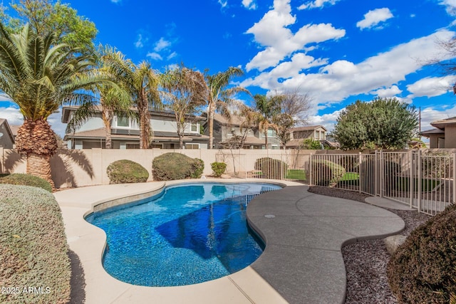 view of pool featuring a patio area, a fenced backyard, and a fenced in pool