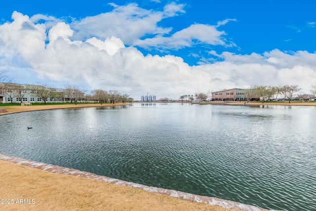 view of water feature