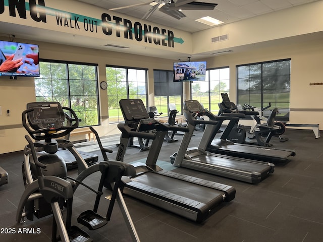 workout area featuring ceiling fan, plenty of natural light, and a paneled ceiling