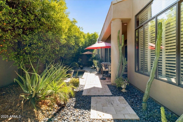 view of yard featuring a patio
