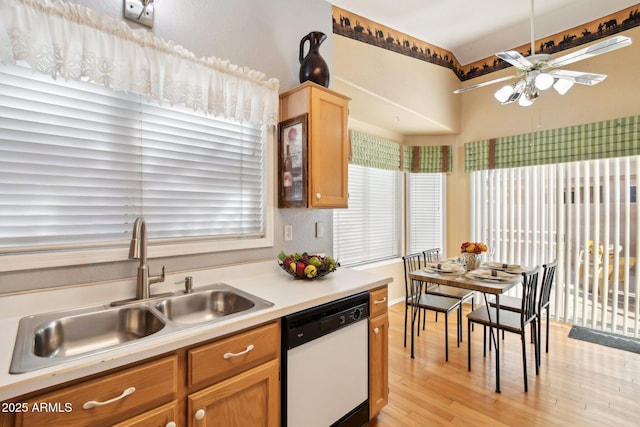 kitchen featuring ceiling fan, dishwasher, sink, and light hardwood / wood-style floors