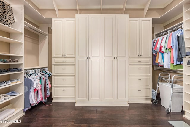 spacious closet featuring dark wood finished floors