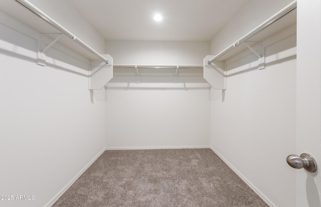 4993 S 254th Dr, Buckeye, AZ 85326 - walk in closet with carpet flooring