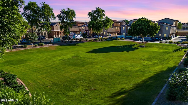 view of home's community with a yard