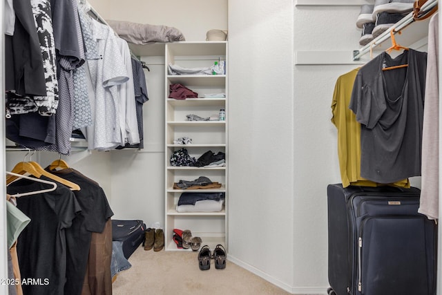 walk in closet featuring carpet flooring