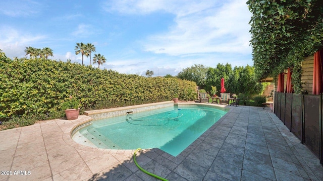 426 E Carol Ann Way, Phoenix, AZ 85022 - view of swimming pool with a patio area and a fenced backyard