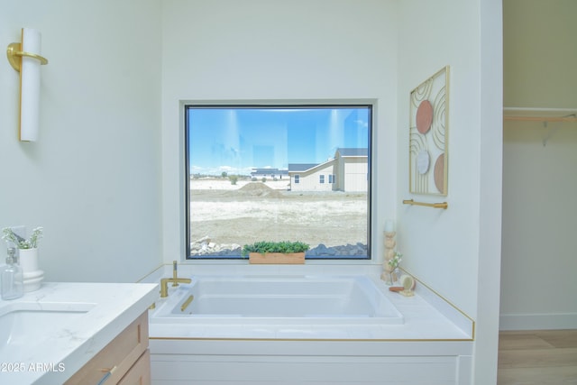 bathroom featuring wood finished floors, vanity, and a bath
