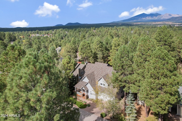 bird's eye view with a mountain view