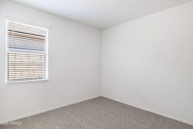 unfurnished room featuring carpet floors