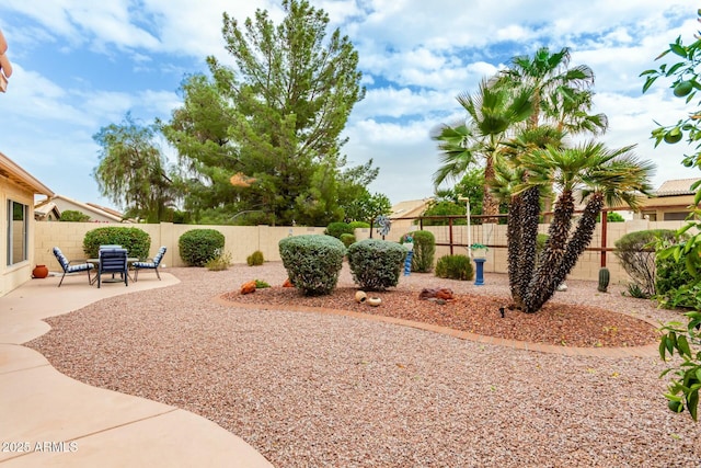 view of yard with a patio