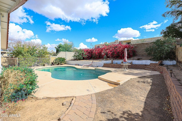 view of pool with a fenced in pool, a patio, and a fenced backyard