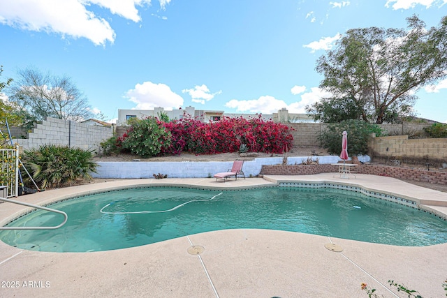 view of swimming pool with a fenced in pool, a fenced backyard, and a patio area