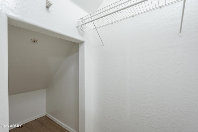 walk in closet featuring wood-type flooring