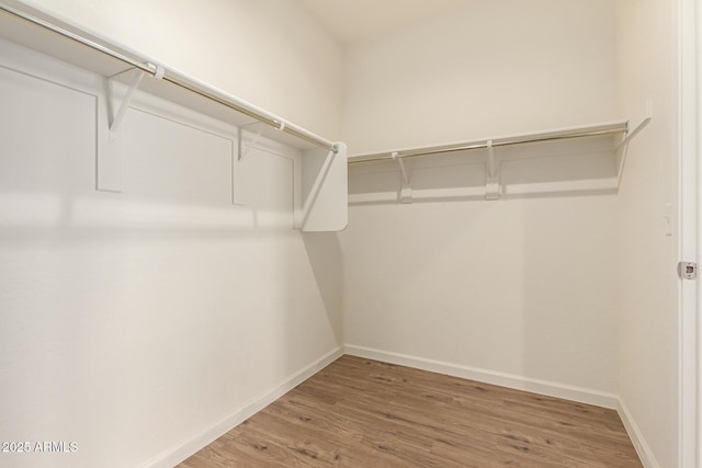 spacious closet featuring wood-type flooring