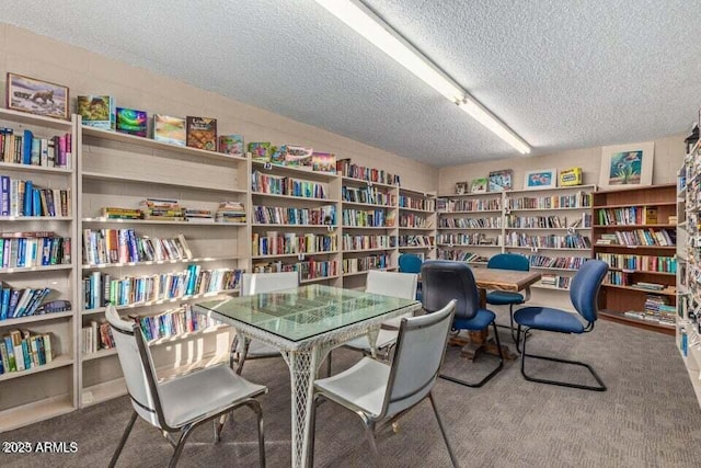 sitting room with carpet floors and a textured ceiling