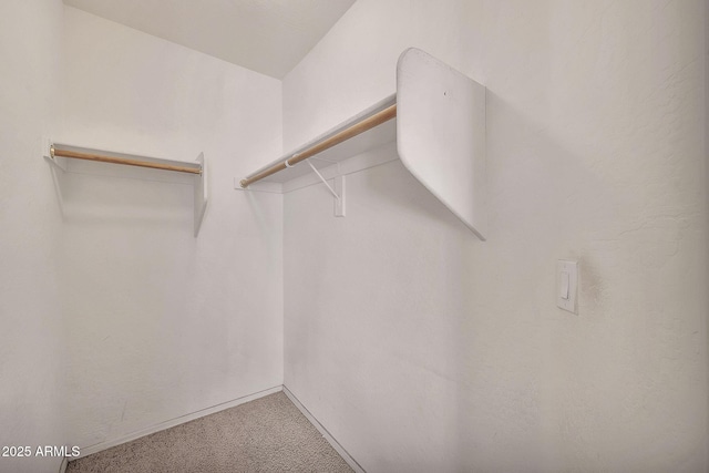 spacious closet featuring carpet