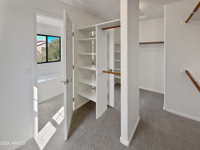 spacious closet featuring light colored carpet