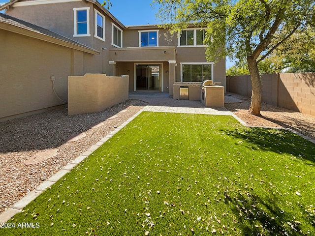 back of property with a patio and a yard