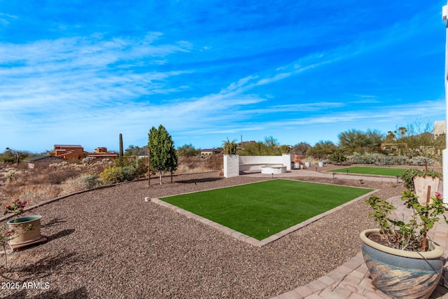 view of yard with a patio