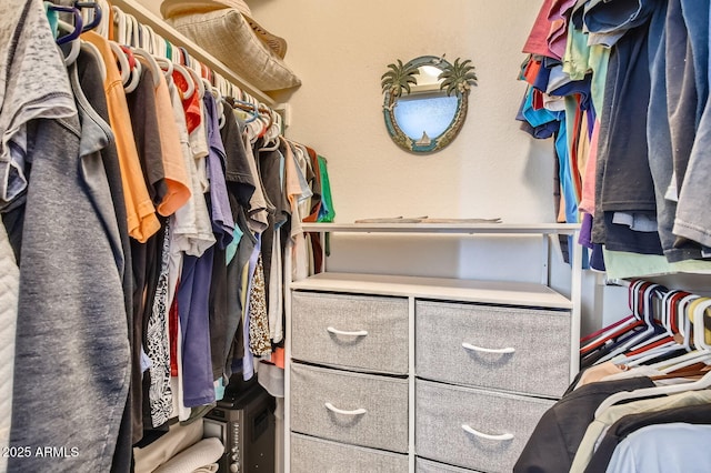 view of spacious closet